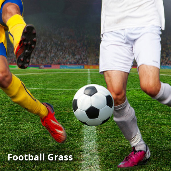 Football Grass