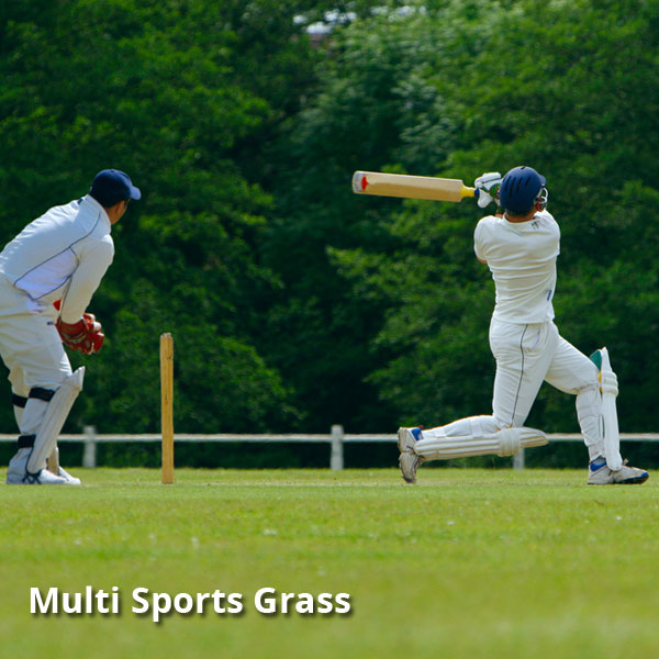 Multi Sports Grass